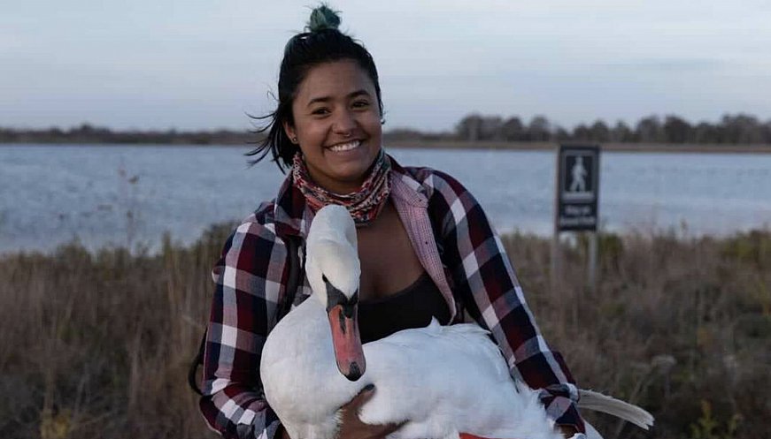 A Sick Swan Rode The Subway To Get Help -- With The Help Of A Good Samaritan